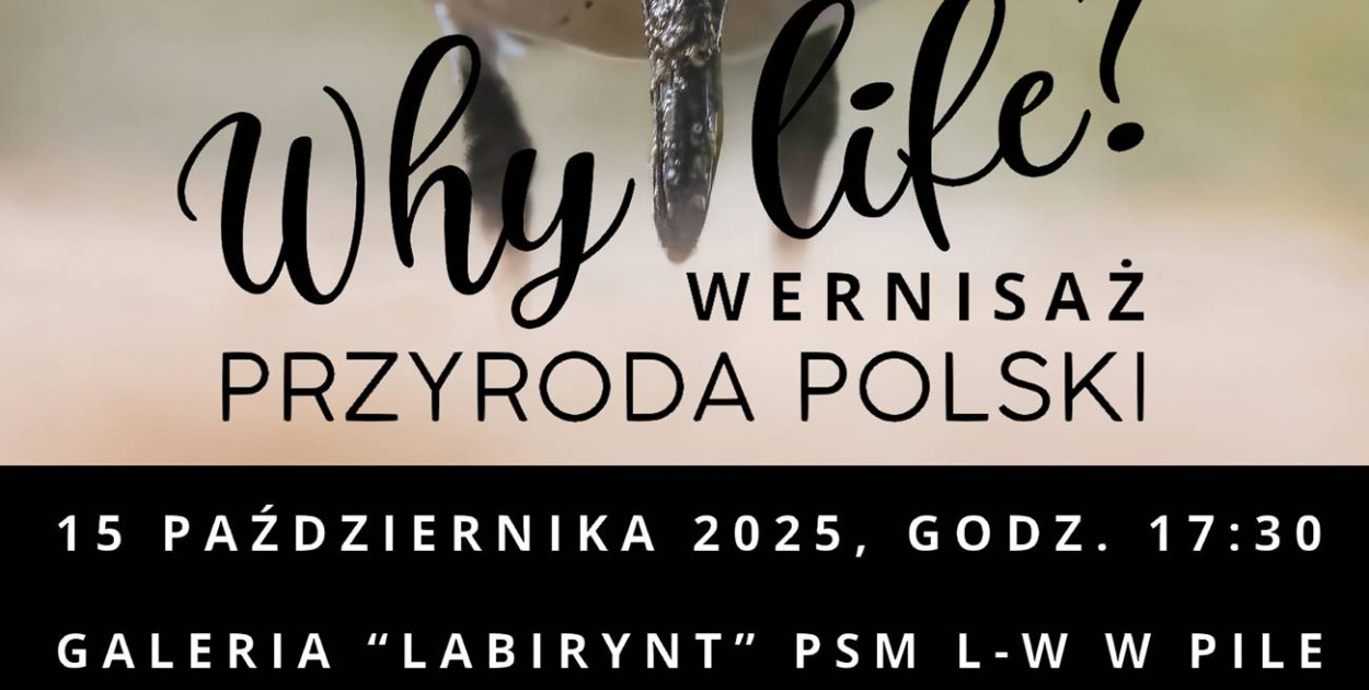 Piła: Wernisaż wystawy fotografii "Why life? Przyroda Polski" w PSM L-W