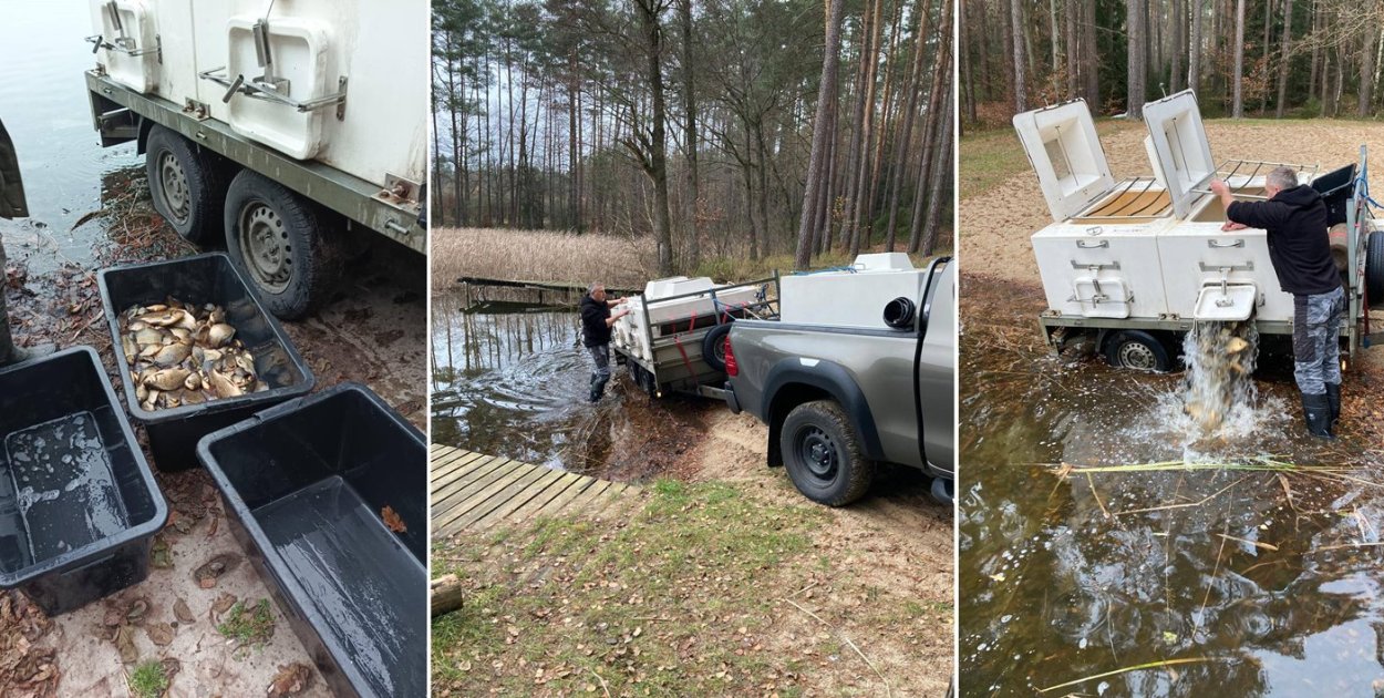 Jesienne zarybienia na wodach administrowanych przez Gminę Okonek - fot. Gmina Okonek