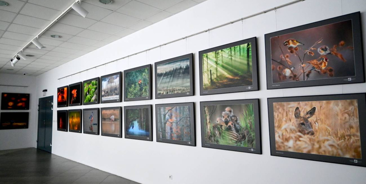 Sztuka Natury 2025 w Toruniu - fot. Grzegorz Tomasik