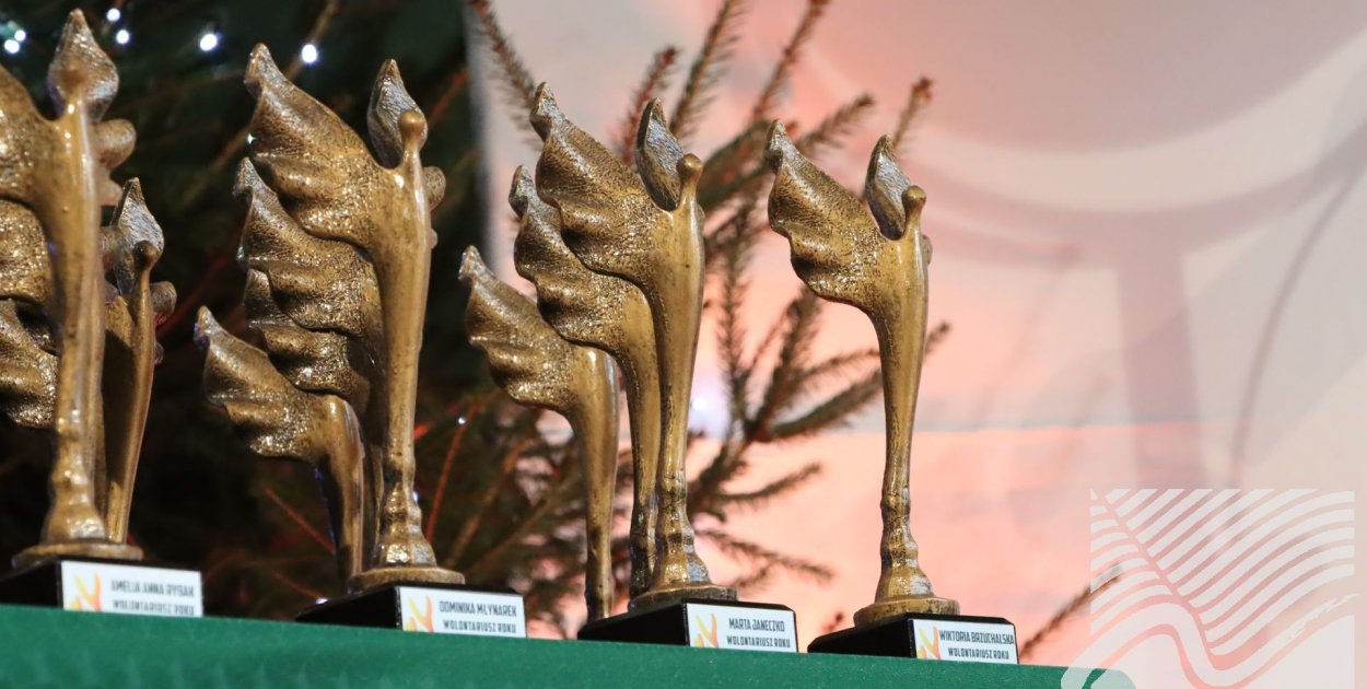 Powiatowa Gala Wolontariatu i Ratownictwa Medycznego w Nakle nad Notecią - fot. Powiat Nakielski