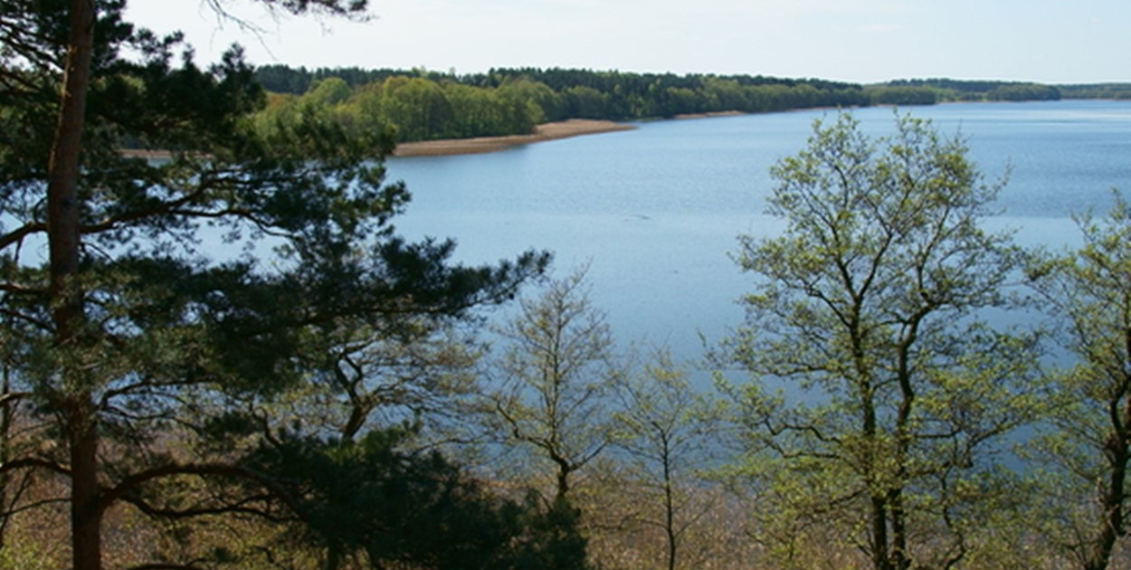 Sępólno Krajeńskie: Są pieniądze na rewitalizację lasku miejskiego
