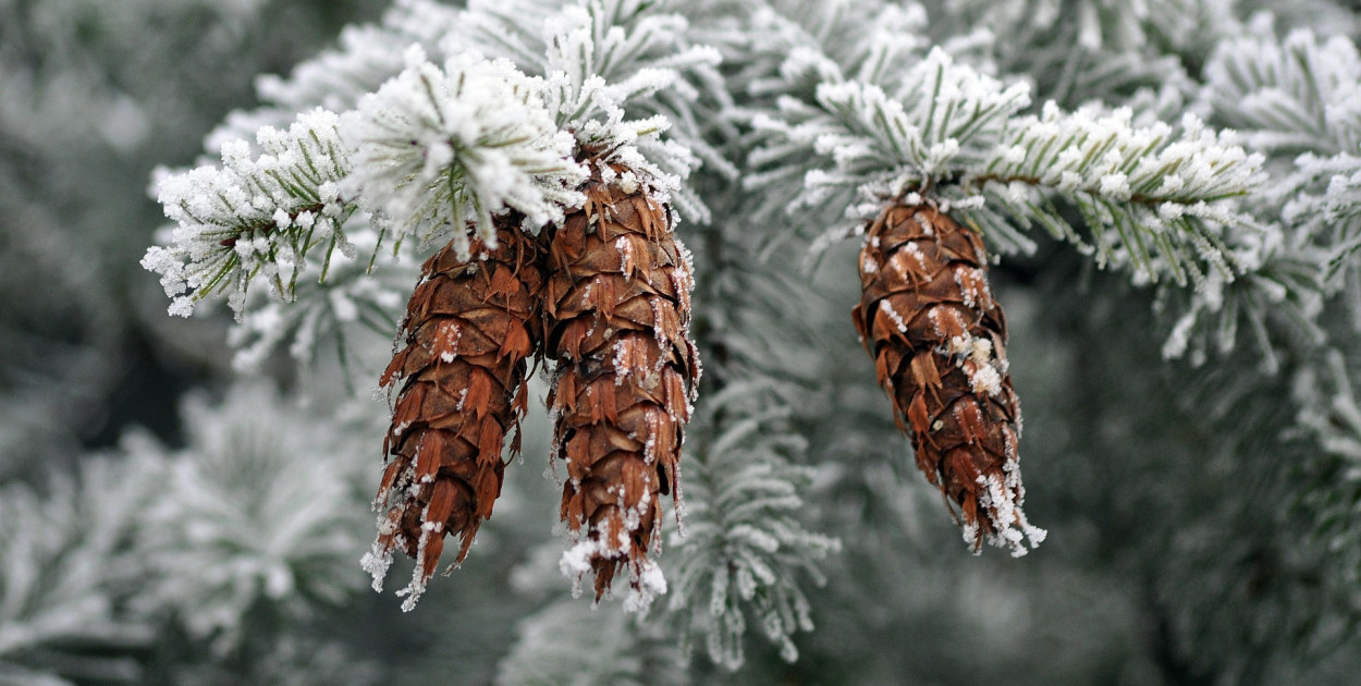 Ostrzeżenie pierwszego stopnia dla miejscowości Więcbork, Sępólno Krajeńskie i dla