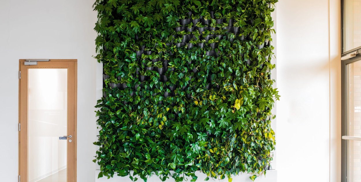 Naturalne rozwiązania dla architektury