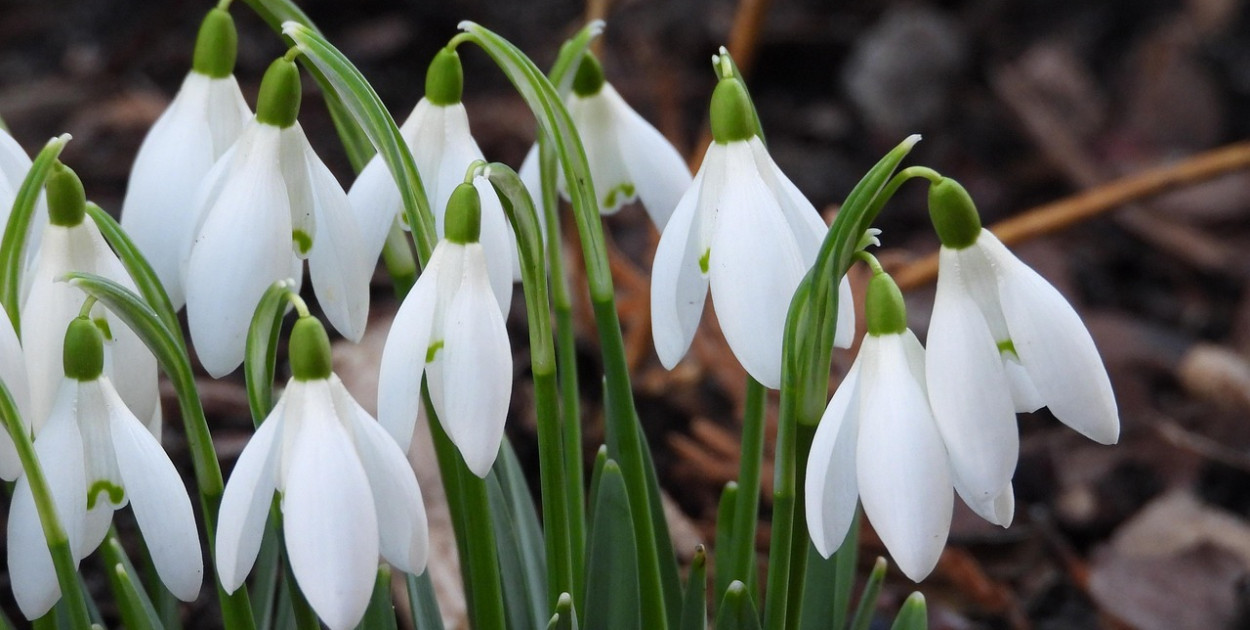 Synoptyk IMGW: w Polsce coraz cieplej, w czwartek na zachodzie kraju do 14 st. C