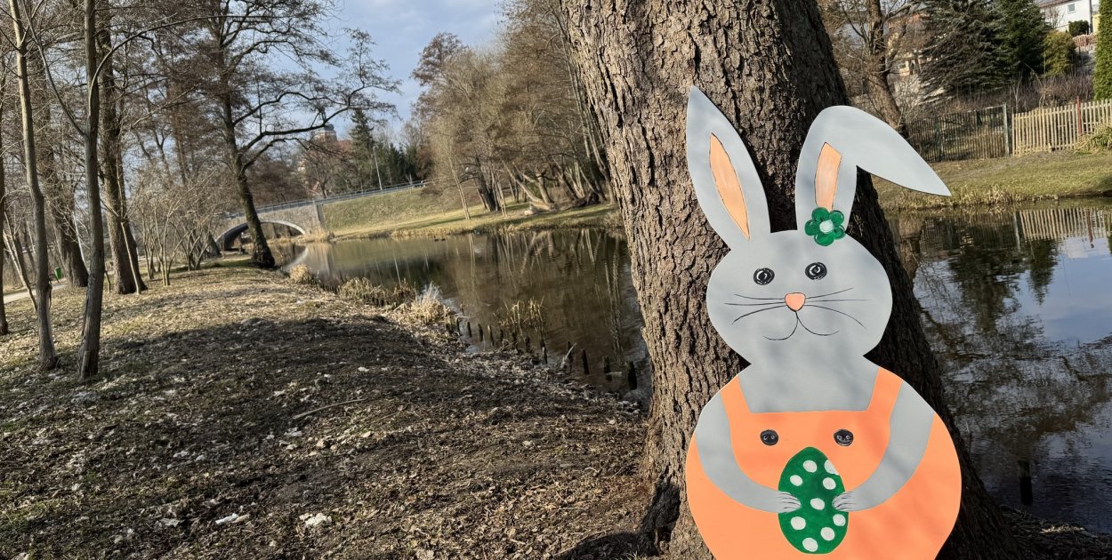 Uwaga! Zające przejmują gminę Krajenka!