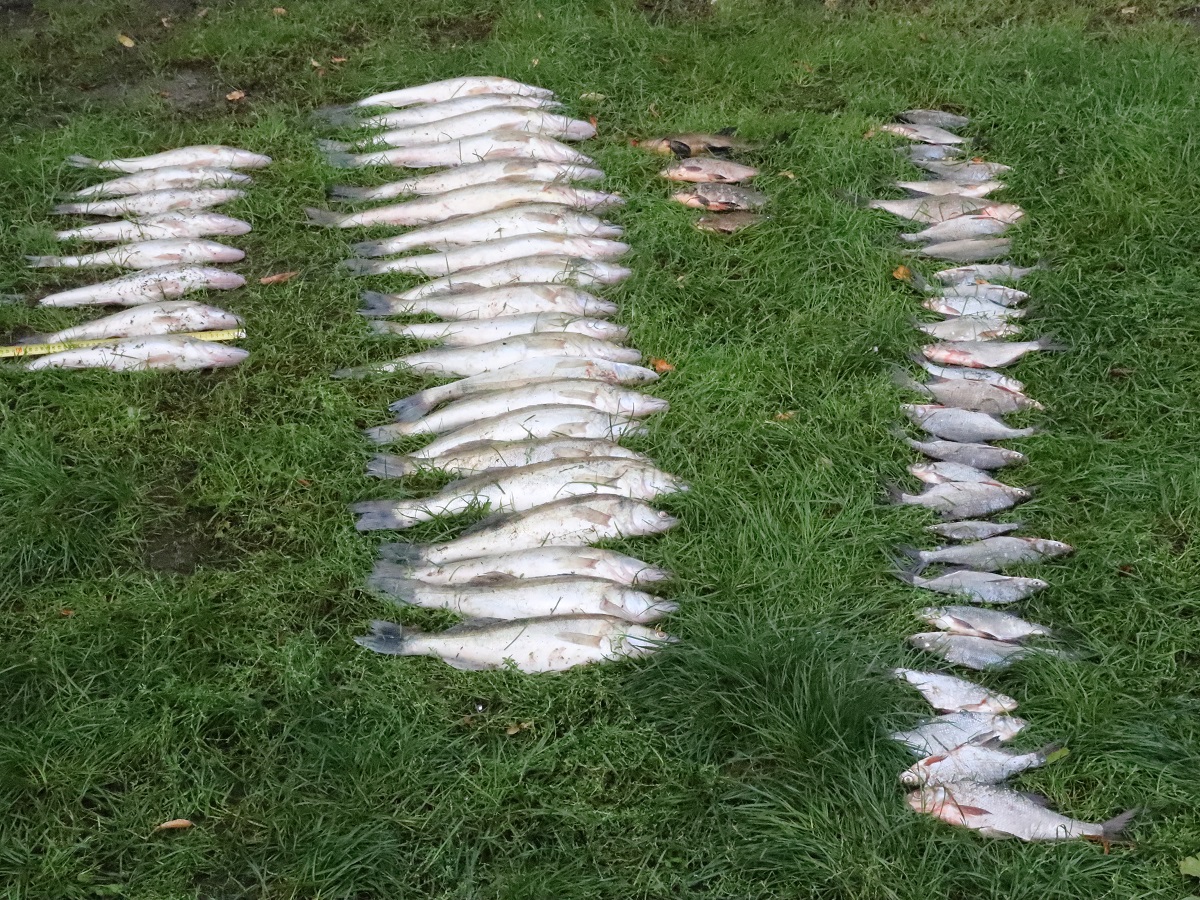fot. KPP Sępólno Krajeńskie