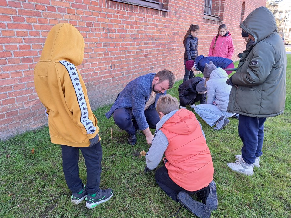 Blisko 8 tysięcy krokusów zasadzono na Rynku w Krajence Blisko 8 tysięcy krokusów zasadzono na Rynku w Krajence