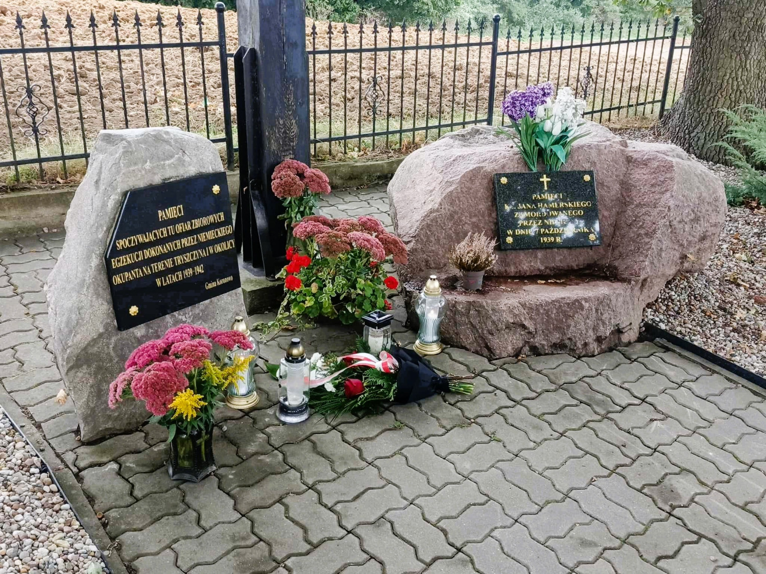 Gmina Koronowo - Oddali hołd ofiarom zbiorowych egzekucji na terenie Tryszczyna - fot. UM Koronowo