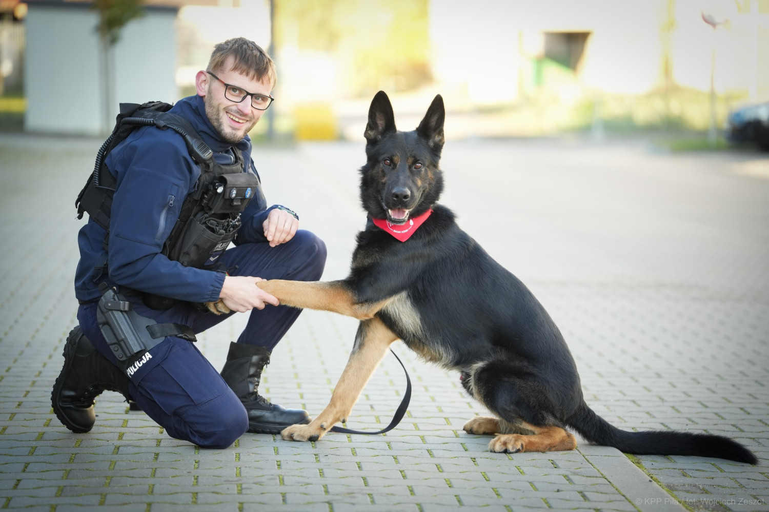 Piła Niko został honorowym dawcą krwi - fot. KPP Piła